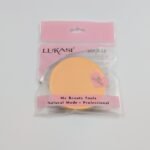 Round Sponge 1 In A Pack